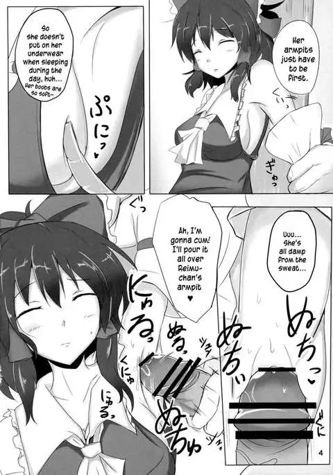 The Record of Reimu-san's Secret Photo-Shoot