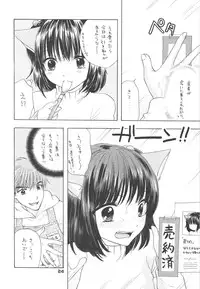 (C75) [BEAT-POP (Ozaki Miray)] HONEY CATS