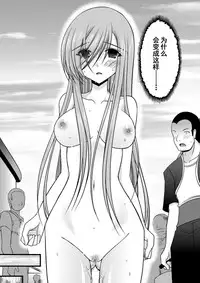 [valssu (Charu)] Melon ga Chou Shindou! R2 (Tales of the Abyss) [Chinese] [流星汉化] [Digital]