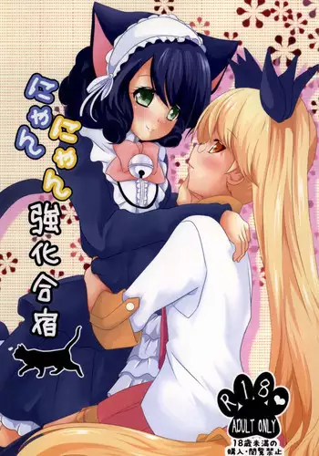 ねこ娘睡姦