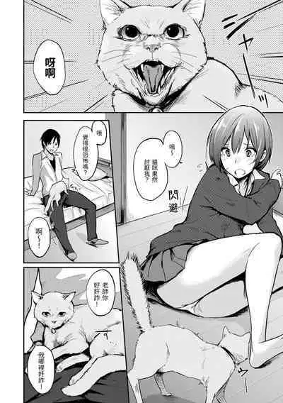 Sukidarake | 滿滿的愛意