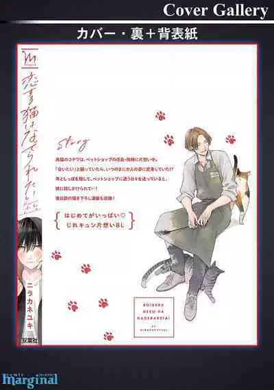 恋爱中的猫咪想被抚摸