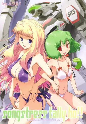 (C74) [Spirit Guide] songstress tally ho!! (Macross Frontier)