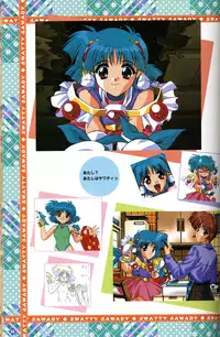 [Visual Fanbook][F&C] きゃんきゃんバニー プルミエール２攻略&設定資料集