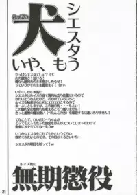 (C70) [FLAT & SLIT RACING 66 (Mu Mu Munou)] Hajimete no Inu (Zero no Tsukaima)