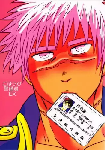 3k-Gohoubi Keibiin EX