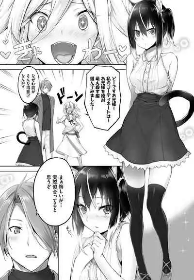 愚か者は猫耳奴隷に依存する~初めての調教生活~ 完全版 1巻