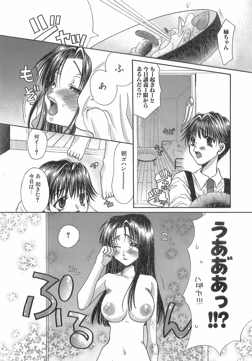 Kinkan Imouto Moe