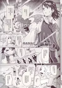 (C72) [EGOISM (Kasukabe Akira, Torigoshi Yayoi)] MANIAC JOB SYSTEM (Final Fantasy XII) [Chinese] [先行者個人漢化]