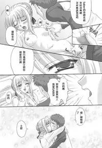 [Tamaranchi (Sinbo Tamaran)] euphoria II ~Mahou Tsukai no Yoru~ + ALLIANCE (Mahou Tsukai no Yoru, Fate/stay night) [Chinese] [逆襲漢化]