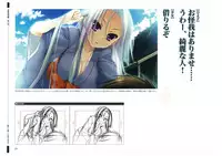 戦国†恋姫 ~乙女絢爛☆戦国絵巻~ ビジュアルファンブック-1