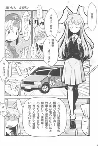 (Ryonaket 3) [Haka no Shita ni iru (Various)] Touhou Roadkill Joint Publication (Touhou Project)