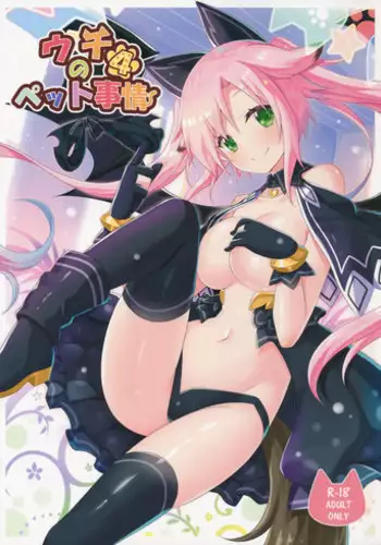 (C91) [Animal Herb (Yano Mitsuki)] Uchi no Pet Jijou 4