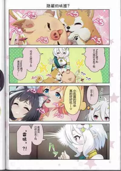 Colorful Connect 10th:Dive