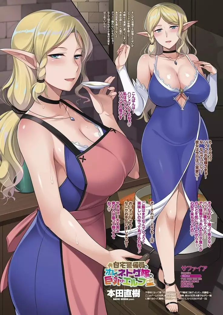 Jitaku Keibiin na Ore no Netoge Yome wa Kyonyuu de Elf EP.1~11