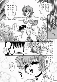 [Tokunaga Kujaku] Shibo - Longing