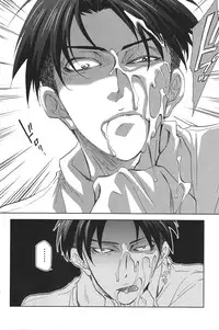 (FALL OF WALL2) [Pink Power (Mikuni Saho)] Tsubekobe Iwazuni Damatte Ore ni Shitagai Yagare. (Shingeki no Kyojin)