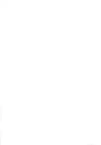 (C86) [Type-G, Studio Himawari (Himukai Kyousuke, Ishigaki Takashi)] UNISON [Lyrical ☆ Nanoha Goudoushi] (Mahou Shoujo Lyrical Nanoha) [Chinese] [无毒汉化组]