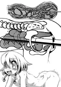 (C88) [J.O.N.G. (Sukiyo)] Kajitsu [Chinese] [巫毒汉化组]