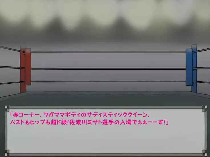 ドMプロレス2 画像集