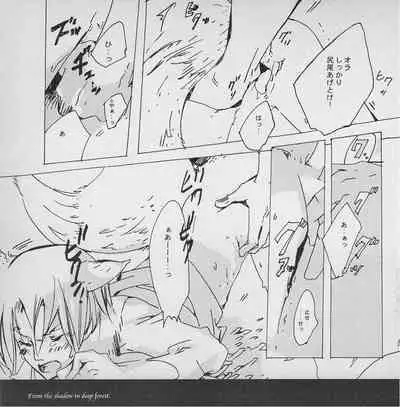 深い森の影から