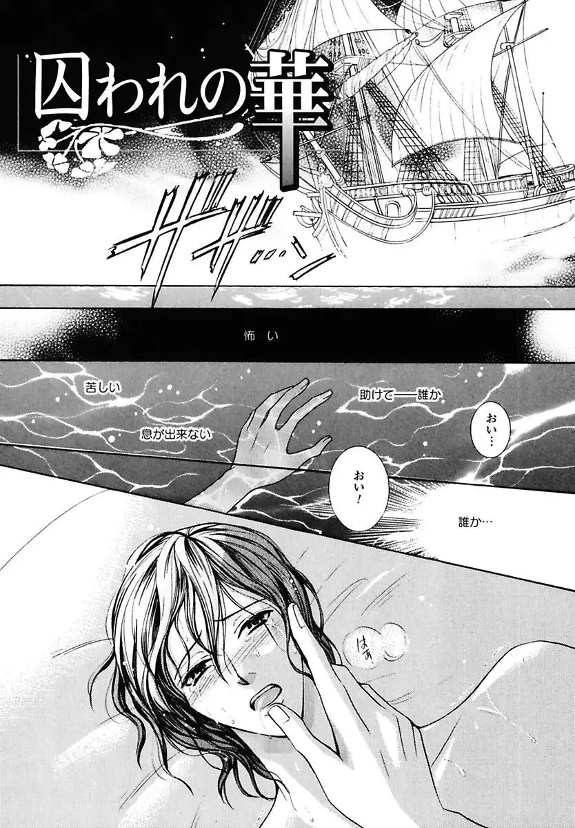 Kodoku no Kane ga Naru