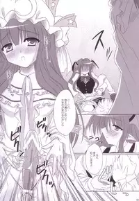 (C74) [Reverse Noise (Yamu)] Lunatic Library (Touhou Project)