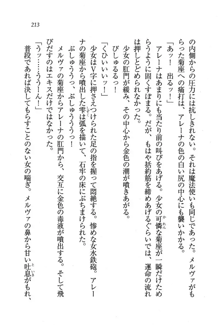 Circus~聖杯の魔法使い