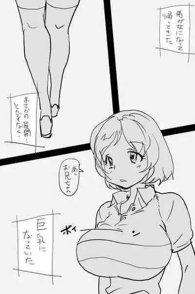 ONK : 女体になった巨乳の弟を犯しちゃうお話し。