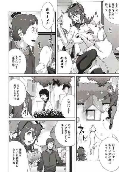 Nyuugyaku no Rudbeckia