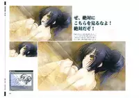 戦国†恋姫 ~乙女絢爛☆戦国絵巻~ ビジュアルファンブック-1