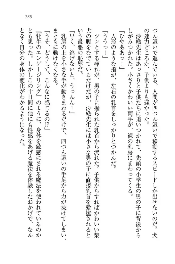 ボクだけのせんせい姉妹