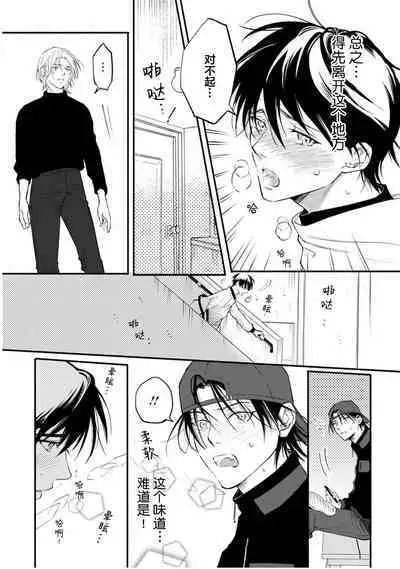 Ippiki Ookami, Koi o Suru | 坠入爱河的狼