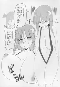 (Reitaisai 12) [Ready.set.go! (Takorice)] Ojou-sama ni Micro Bikini (Touhou Project)