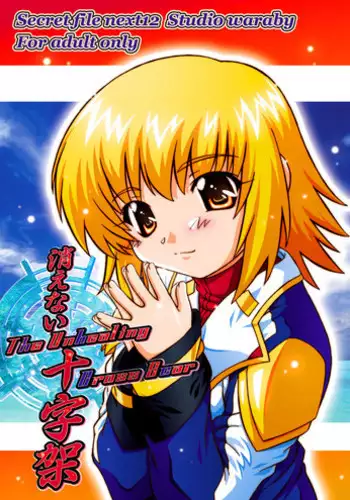 [Studio Wallaby (Takana Yu-ki)] SECRET FILE NEXT 12 - The Unhealing Cross Scar [Gundam Seed Destiny] [Digital]