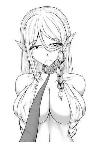 [HLL.ALSG99] 精灵在异世界