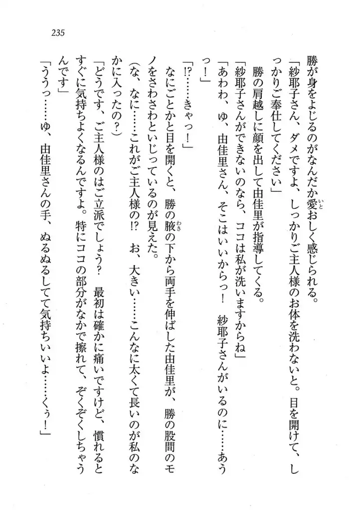 メイドなります ! ~おしおき