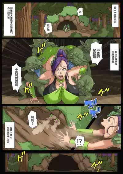 [B-kyuu Site (bkyu)] B-Kyuu Manga 8 Mamono no Hanayome (Dragon Quest XI) [Chinese] [不可视汉化]