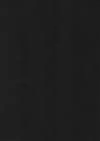 (C80) [Kinokonomi (kino)] Ore no Byouteki na Imouto (Touhou Project)