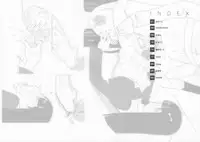 (C85) [Shinba Oolong Cha (Various)] syowgaku sei 12