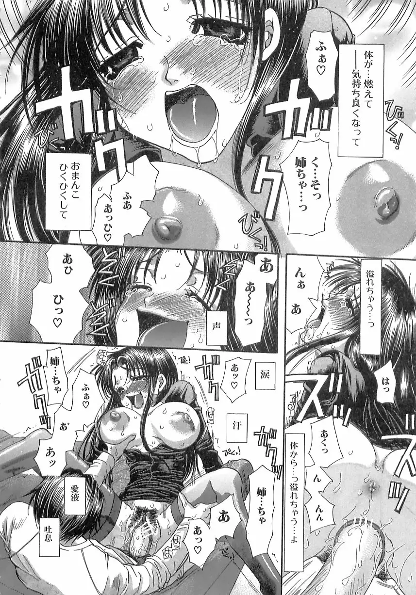 Kinkan Imouto Moe