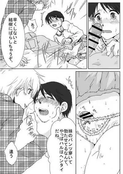 Haru Nii-chan no Chotto Ijou na Nichijou