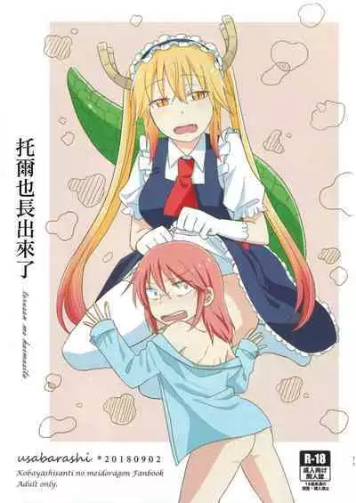 [Usabarashi (Usako)] Kobayashi-san to Tohru-san Kobayashi-san-chi no Maid Dragon Sairokushuu | 小林與托爾 小林家的龍女僕再録集 (Kobayashi-san-chi no Maid Dragon) [Chinese] [EZR個人漢化]