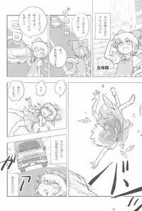 (Ryonaket 3) [Haka no Shita ni iru (Various)] Touhou Roadkill Joint Publication (Touhou Project)