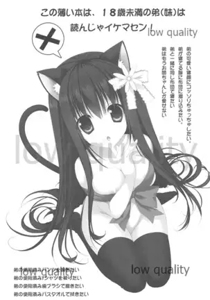 Onee-chan to Chucchu Shiyo