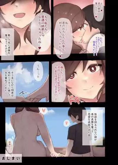 (futa-works) Seiyoku o osae rarenai ane ni toshishita otōto ga teisō o ubawa reru hanashi