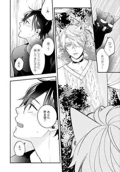 High Spec Danshi ni Natsukareteimasu