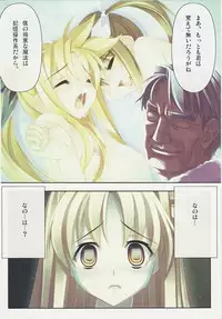 (C73) [STUDIO HIMAWARI (Himukai Kyousuke)] Kanzen Choukyou Fate Shiki (Mahou Shoujo Lyrical Nanoha)