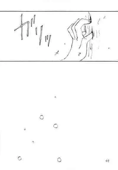 海の虹が沈む森