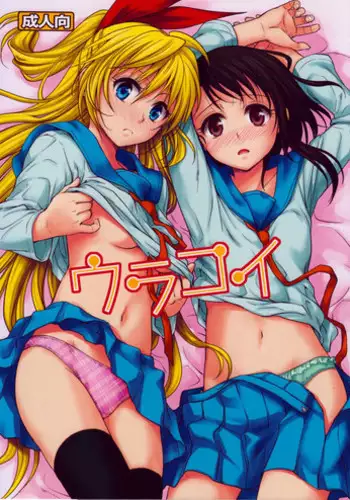 Uchi no Foreigner ga Toile no Basho mo Mamoranai Warui Neko datta node Butsuriteki Shudan de Shitsukeru Hanashi